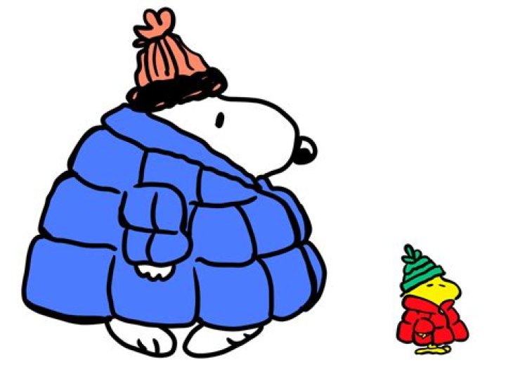 How do you iron a winter coat?
