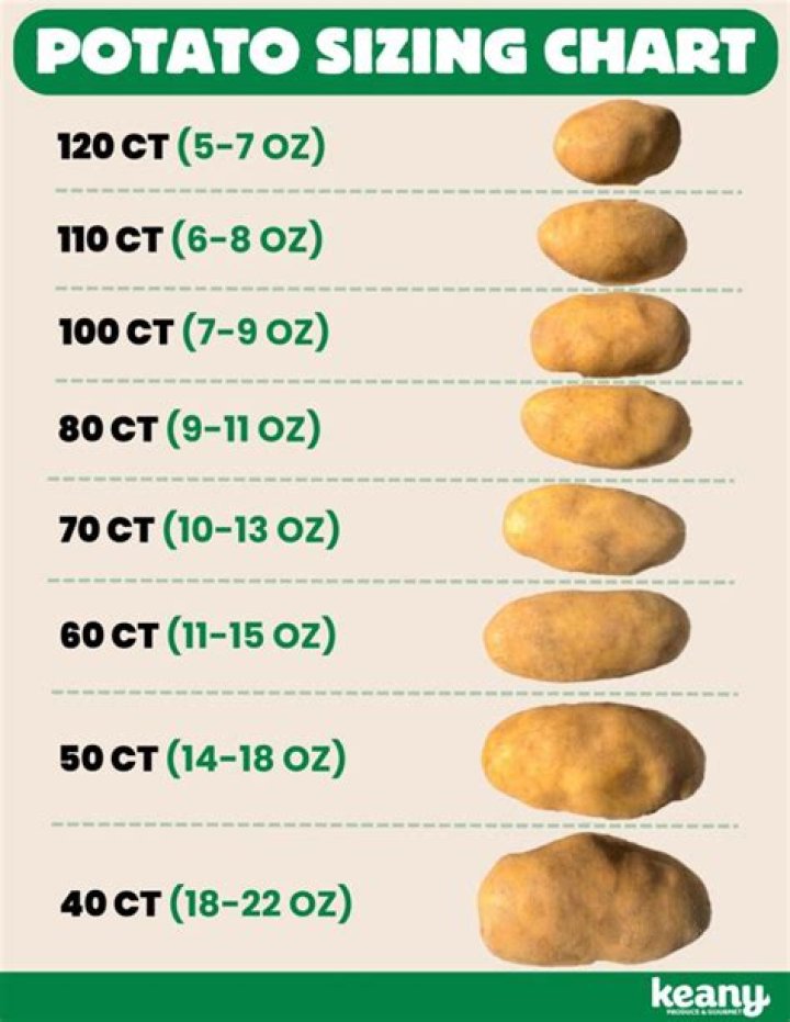 How long is a average potato?