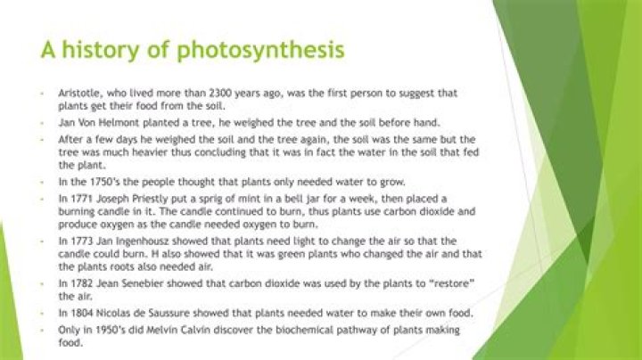 What did Jean Senebier discover about photosynthesis?