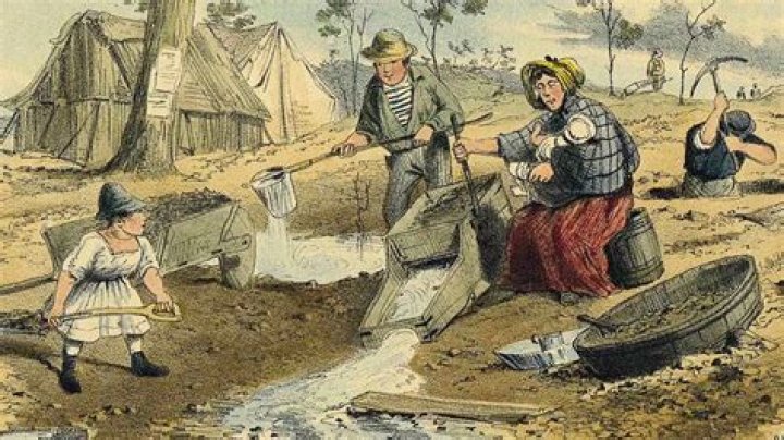 What did miners wear during the Australian gold rush?