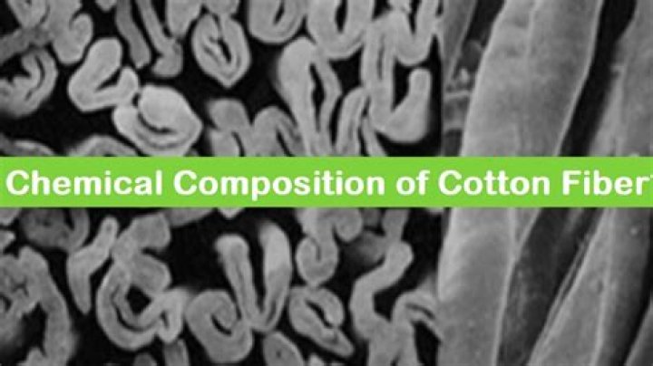 What is the chemical composition of cotton fiber?