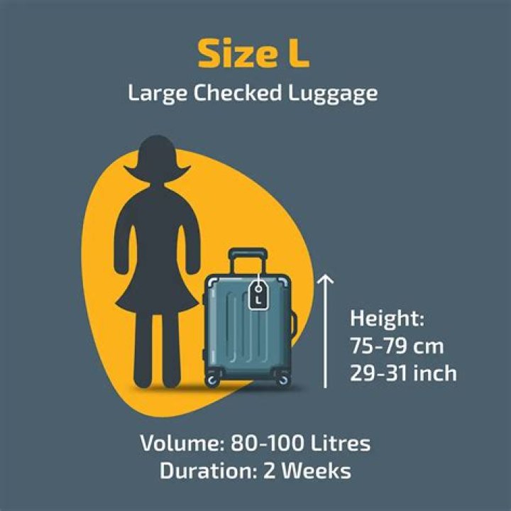 What is the L in size?