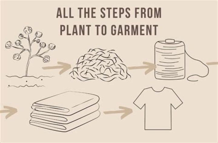 What kind of plants were used to make clothing?