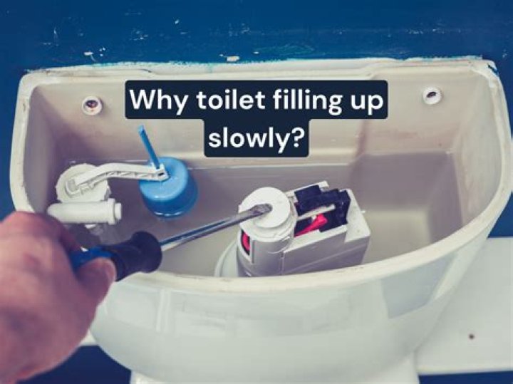 Why is my toilet filling up too much?